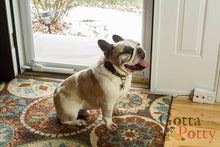 Load image into Gallery viewer, Gotta Potty