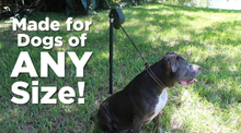 Load image into Gallery viewer, Dog Keeper &amp; 16ft Leash